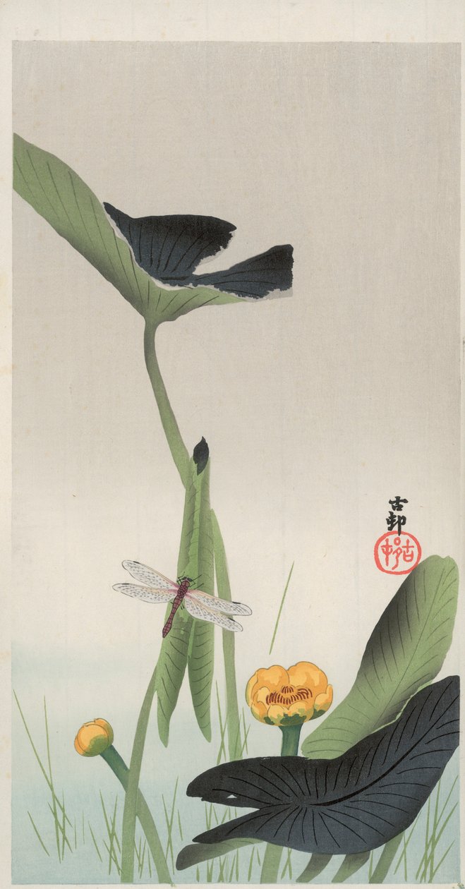 蜻蜓与莲花（彩色木版画） 作者 大原功臣