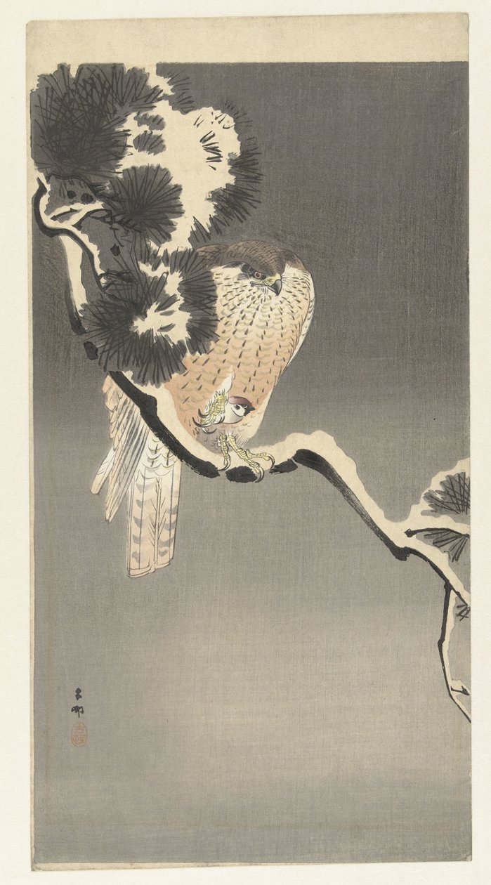鹰与麻雀 作者 大原功臣