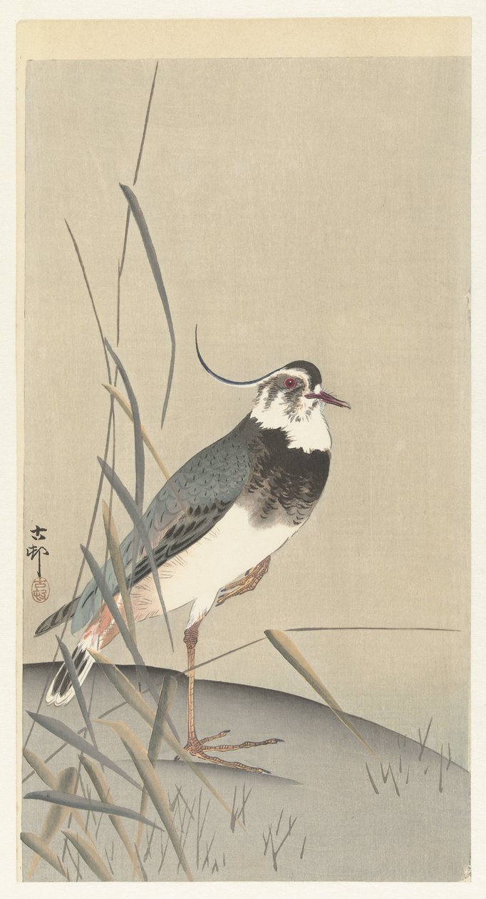 杓鹬和芦苇 作者 大原功臣