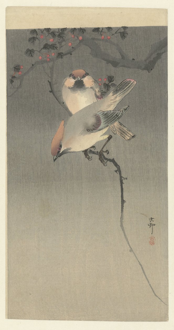 小霸王鸟 作者 大原功臣