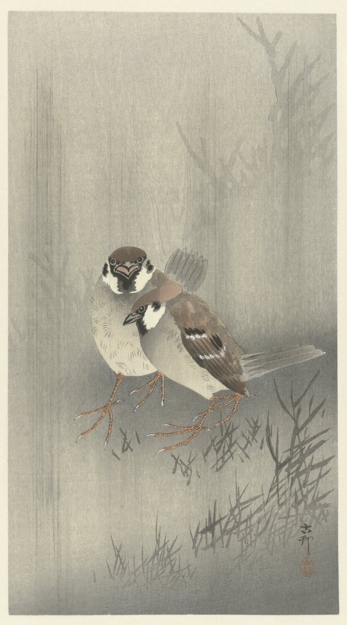 雨中的两只环雀 作者 大原功臣