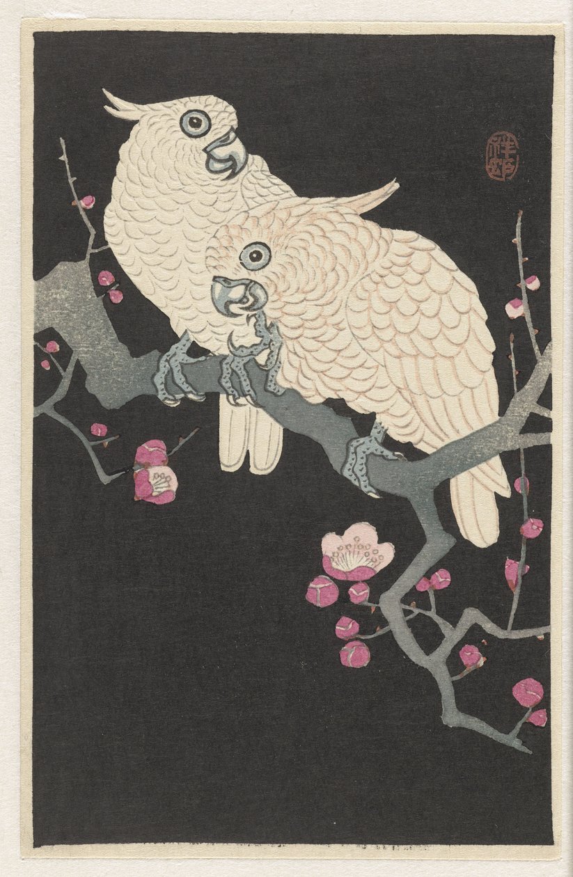 两只鹦鹉和梅花 作者 大原功臣