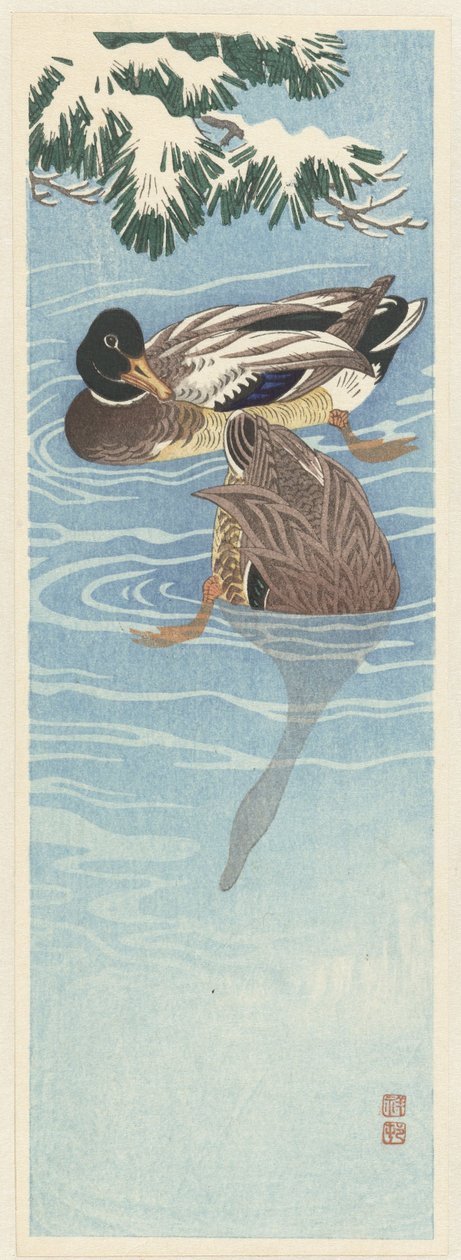 水里的两只野鸭 作者 大原功臣