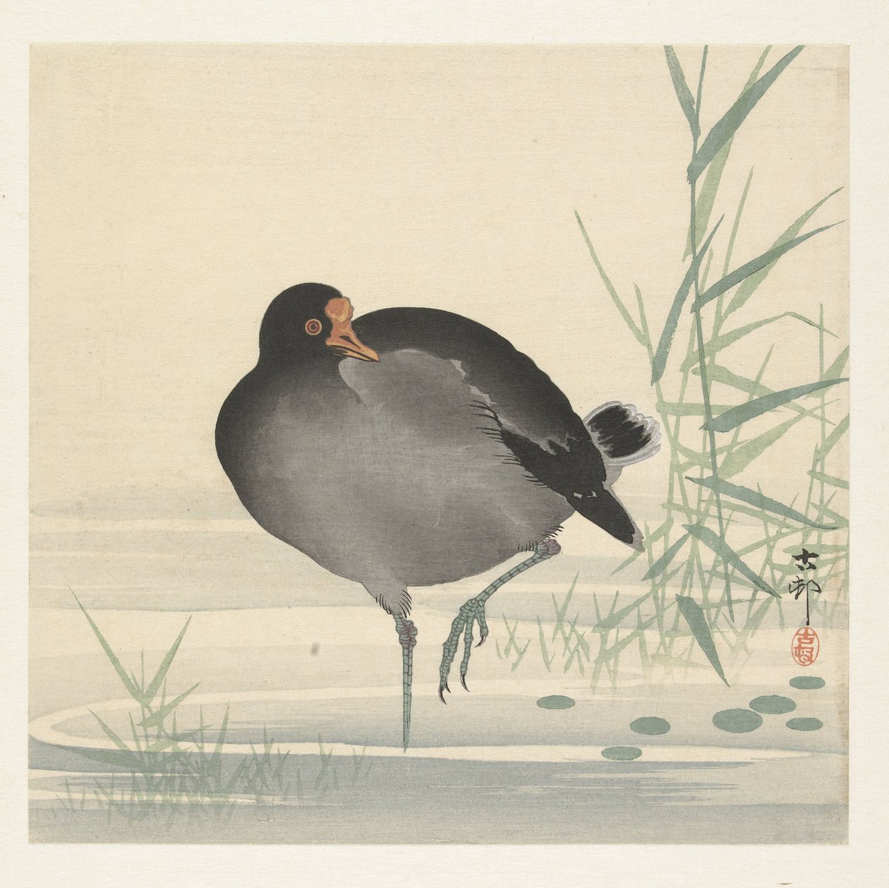 摩亨 作者 大原功臣