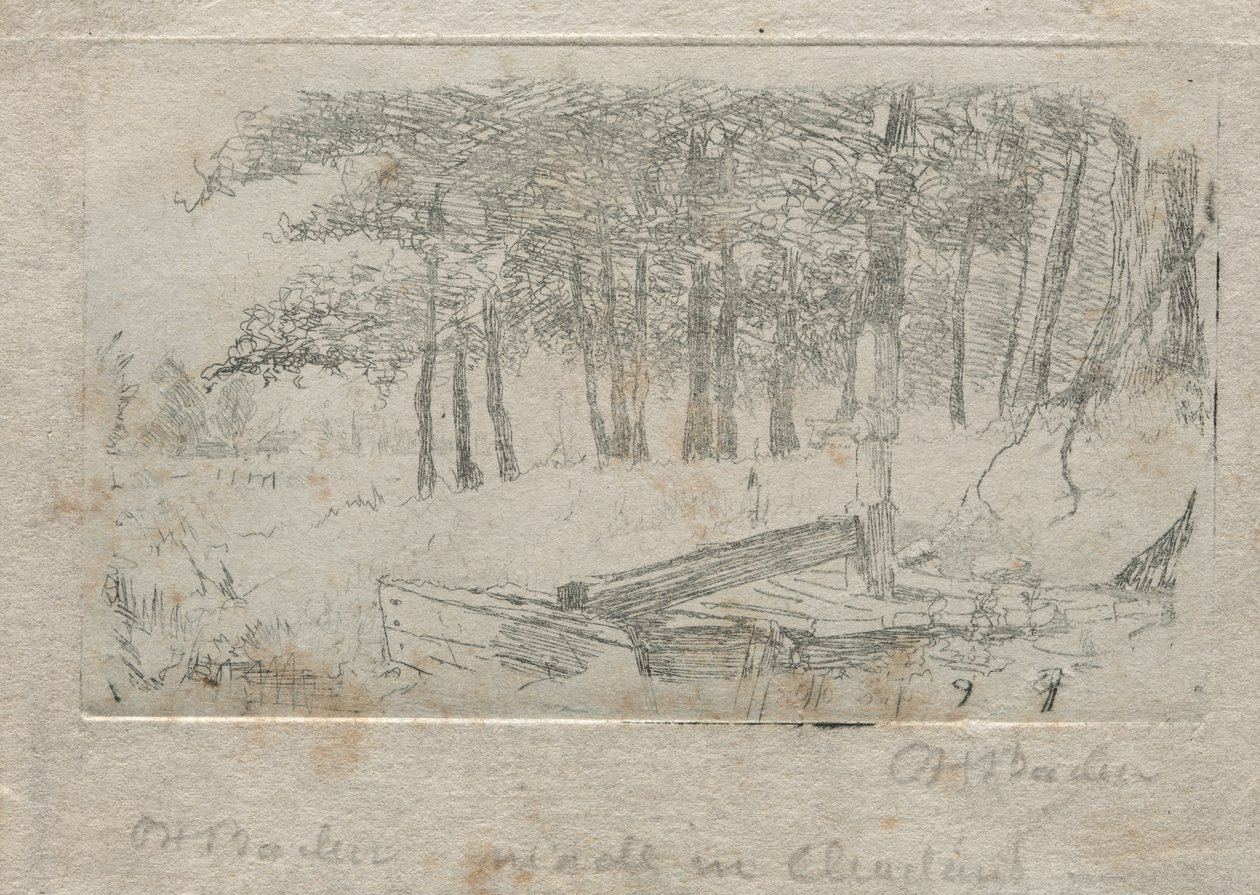 从自然素描，1879年。 作者 奥托·H·巴赫