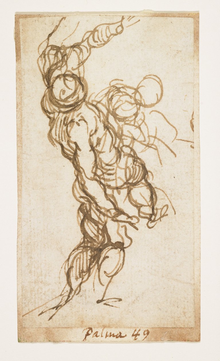男性人物研究 作者 帕尔玛（Palma Il Giovane）
