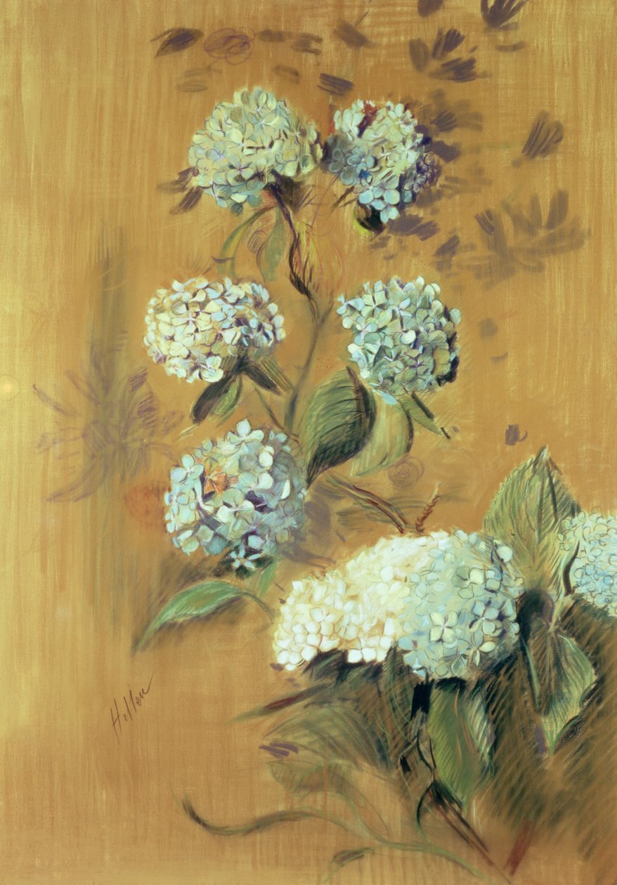 绣球花（纸上粉彩） 作者 保罗·塞萨尔·Helleu