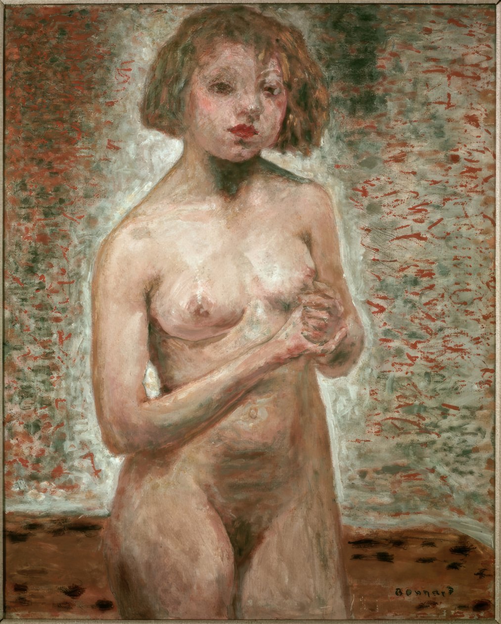 不 作者 皮埃尔·邦纳德