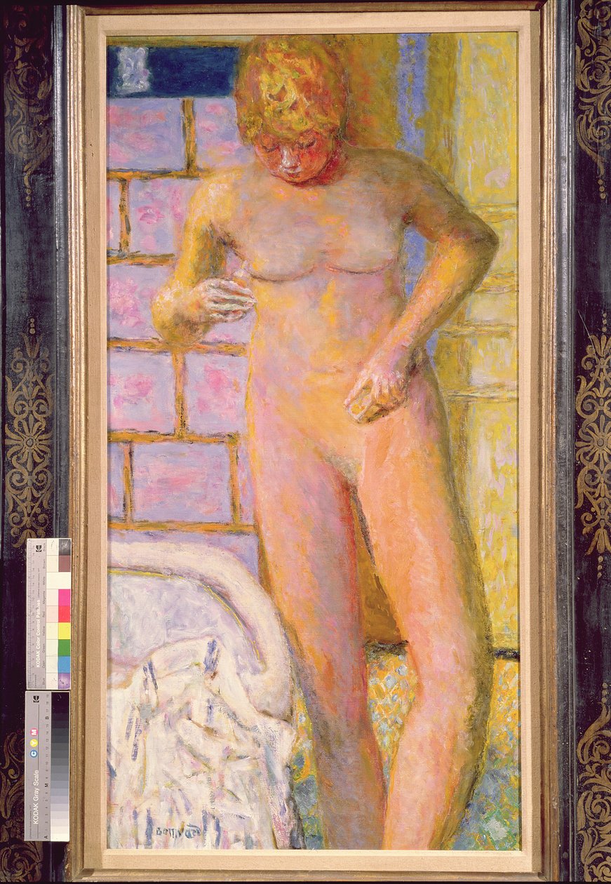 站在裸体，1928年 作者 皮埃尔·邦纳德
