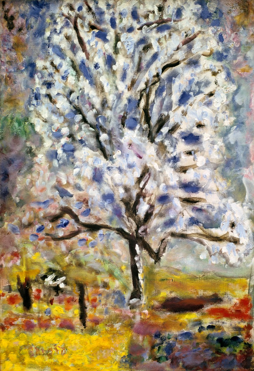 杏仁树开花，1947年 作者 皮埃尔·邦纳德