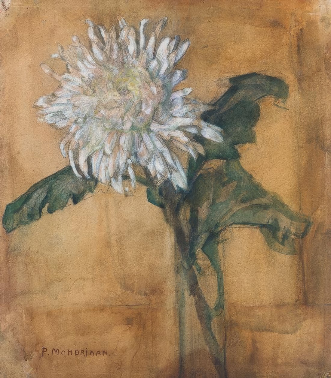 菊花 作者 彼得·蒙德里安