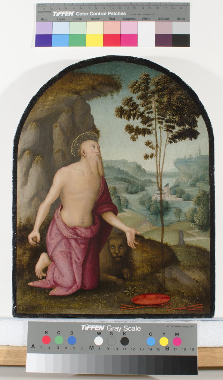 圣杰罗姆在荒野，c.1510-15 作者 彼得罗·佩鲁吉诺（Pietro Perugino）