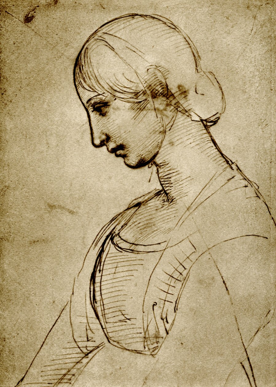 研究麦当娜 作者 拉斐尔（Raffaello Sanzio Raphael）