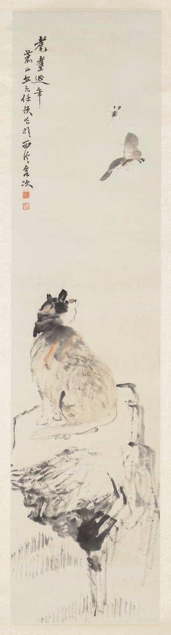 猫与蝴蝶 作者 任宇