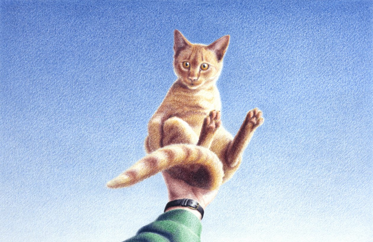 一把 作者 勒内·博安