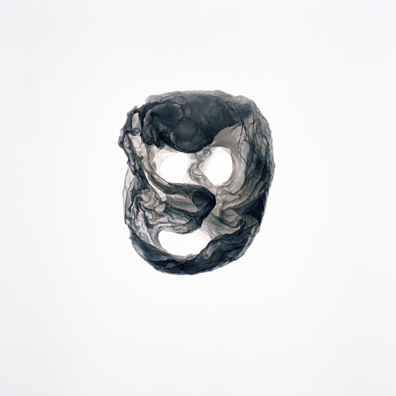 食尸鬼，2015 作者 理查德·格林
