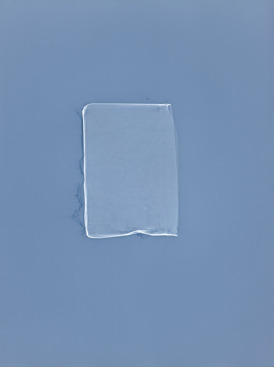无题，2001 作者 理查德·格林