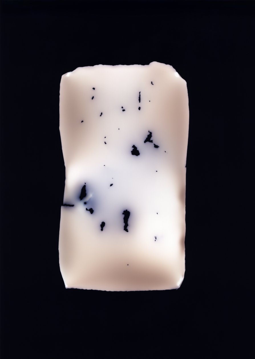 无题，2001 作者 理查德·格林