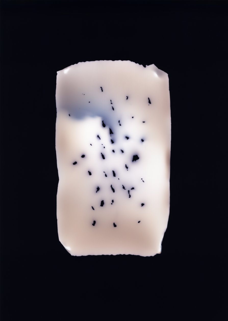 无题，2001 作者 理查德·格林
