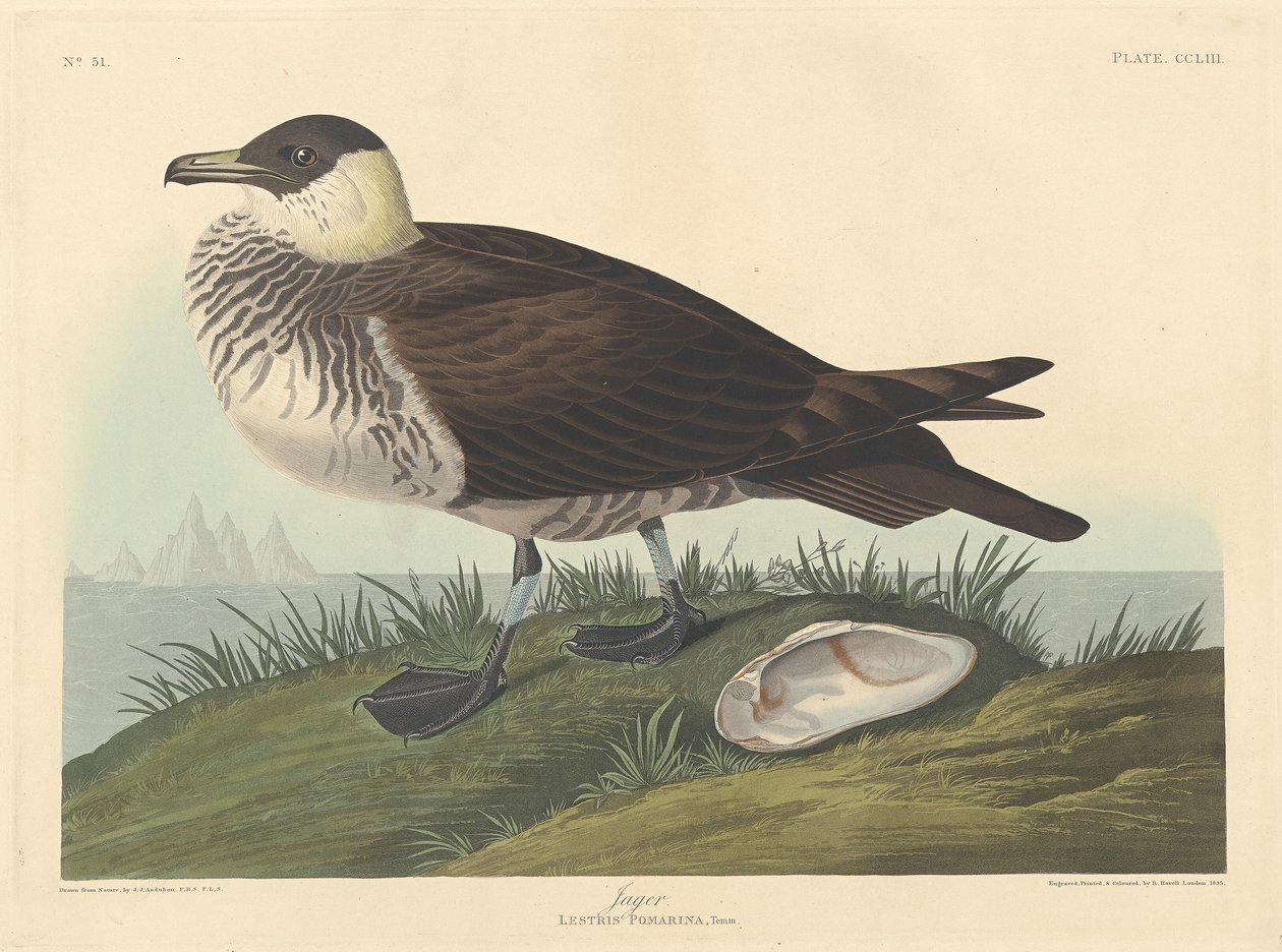 Jager, 1835. 作者 罗伯特·哈维尔
