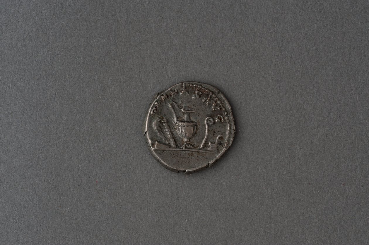 Commodus Denarius（银色） 作者 小说