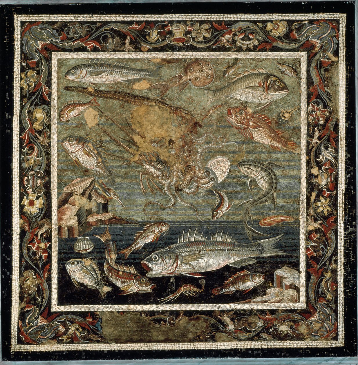 Marine life (mosaic 作者 小说