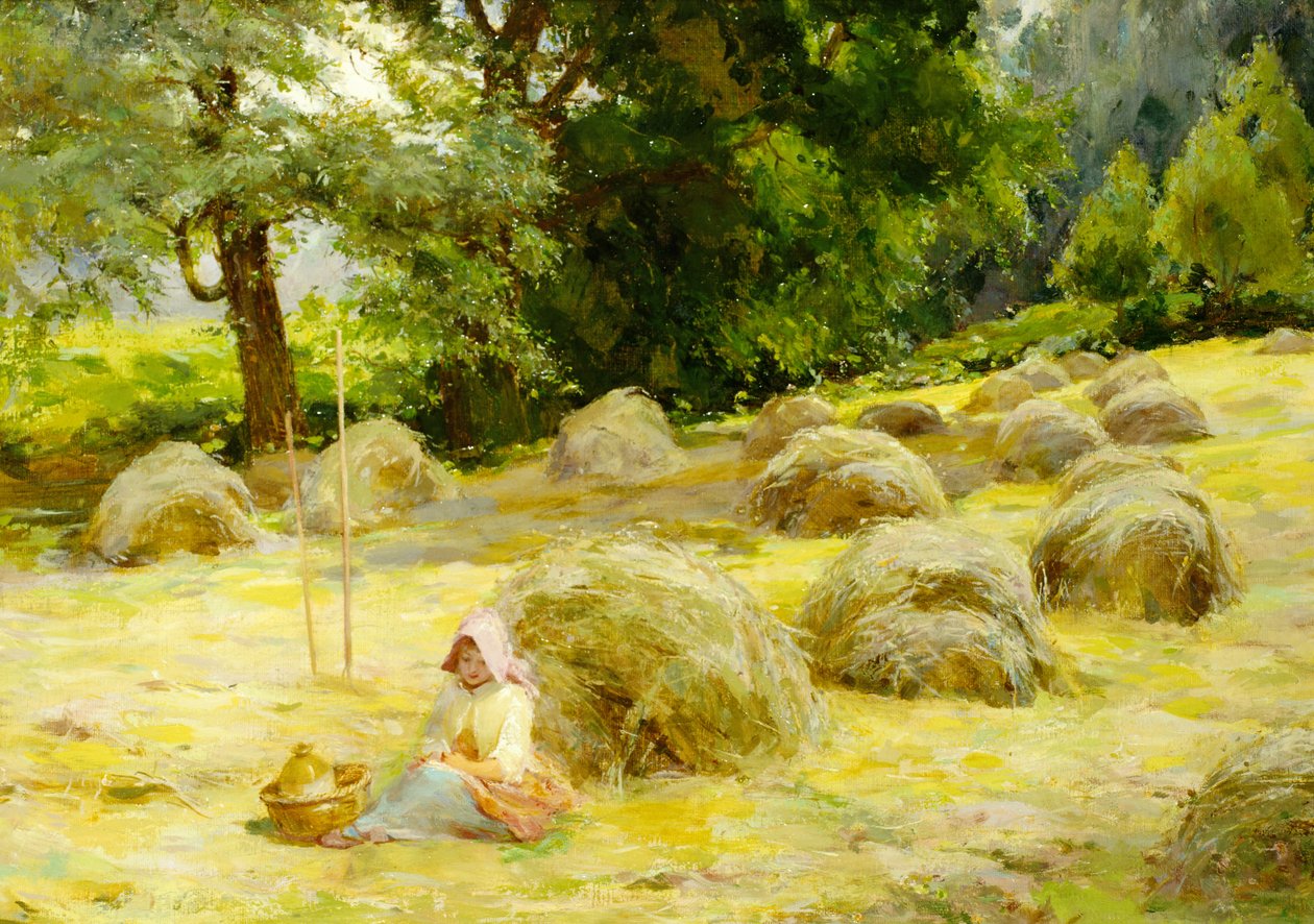 Haytime 作者 罗莎·阿普尔顿