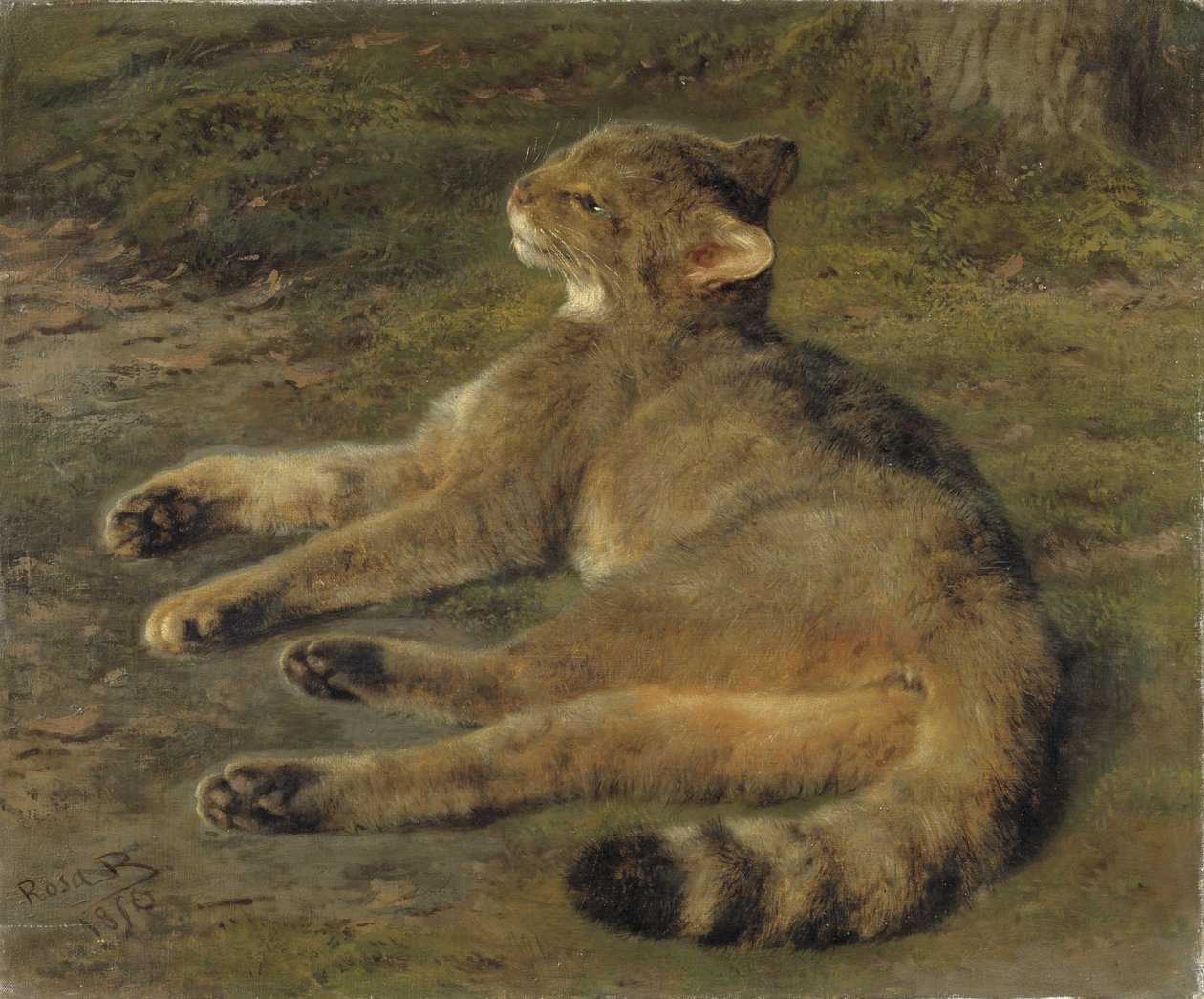 野猫，1850年 作者 粉红色的快乐