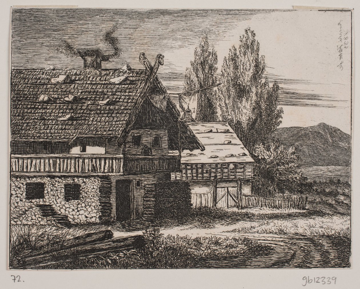 Schweizerhus 作者 罗莎莉霍尔姆