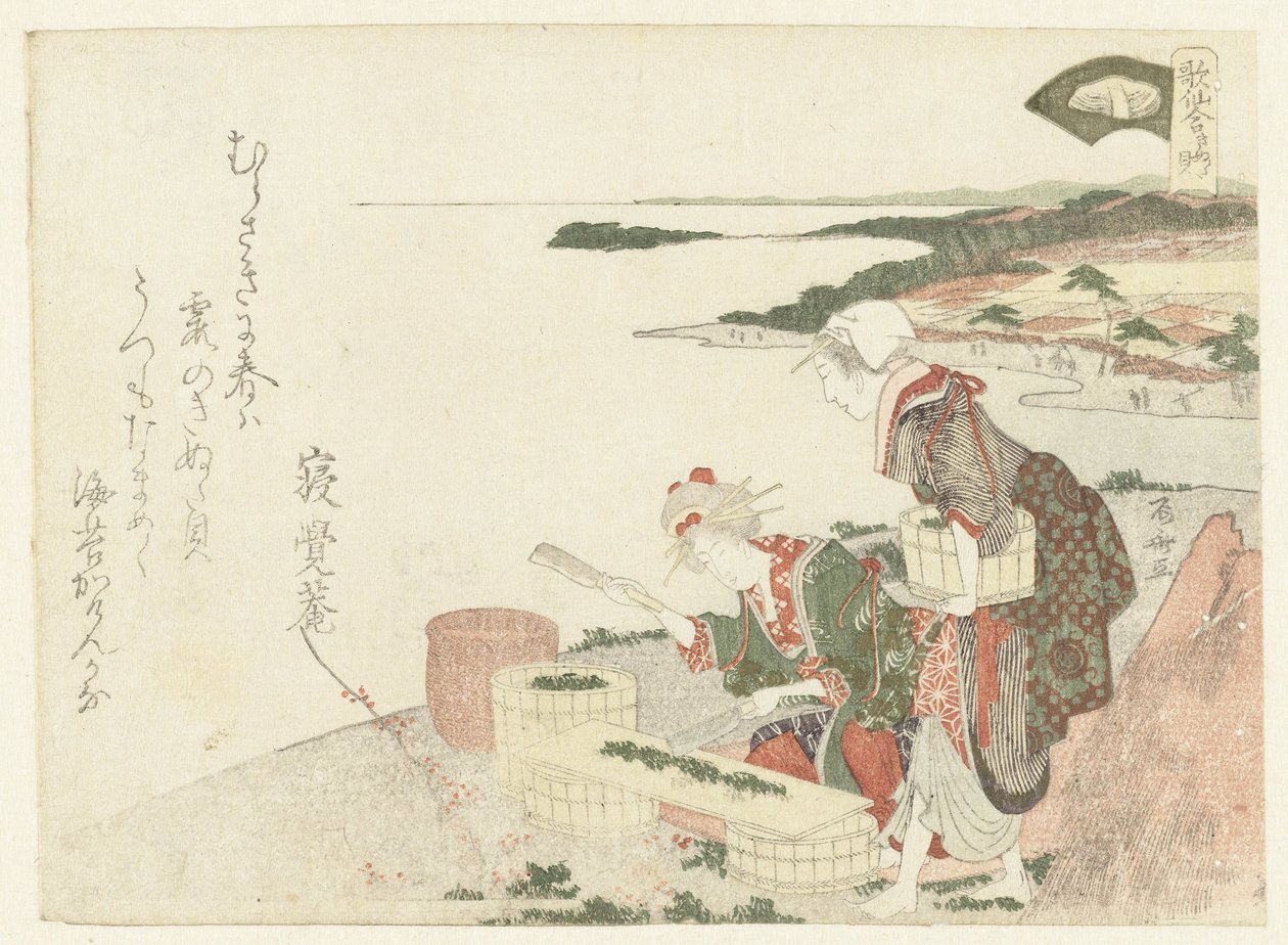 切香草 作者 龙宫京心斋