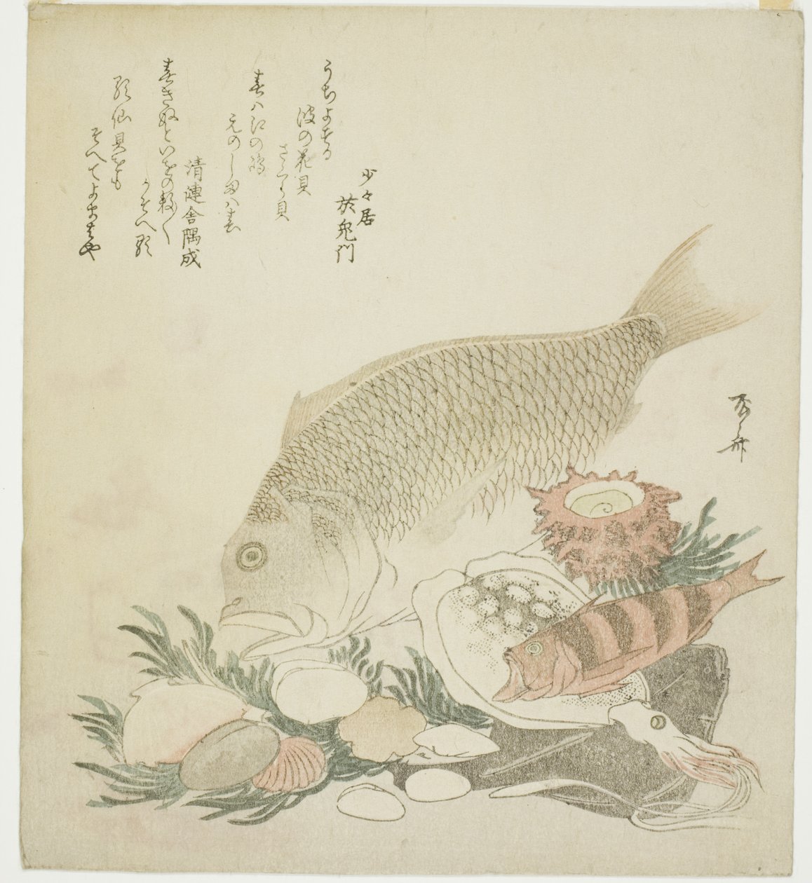鱼和贝壳 作者 龙宫京心斋