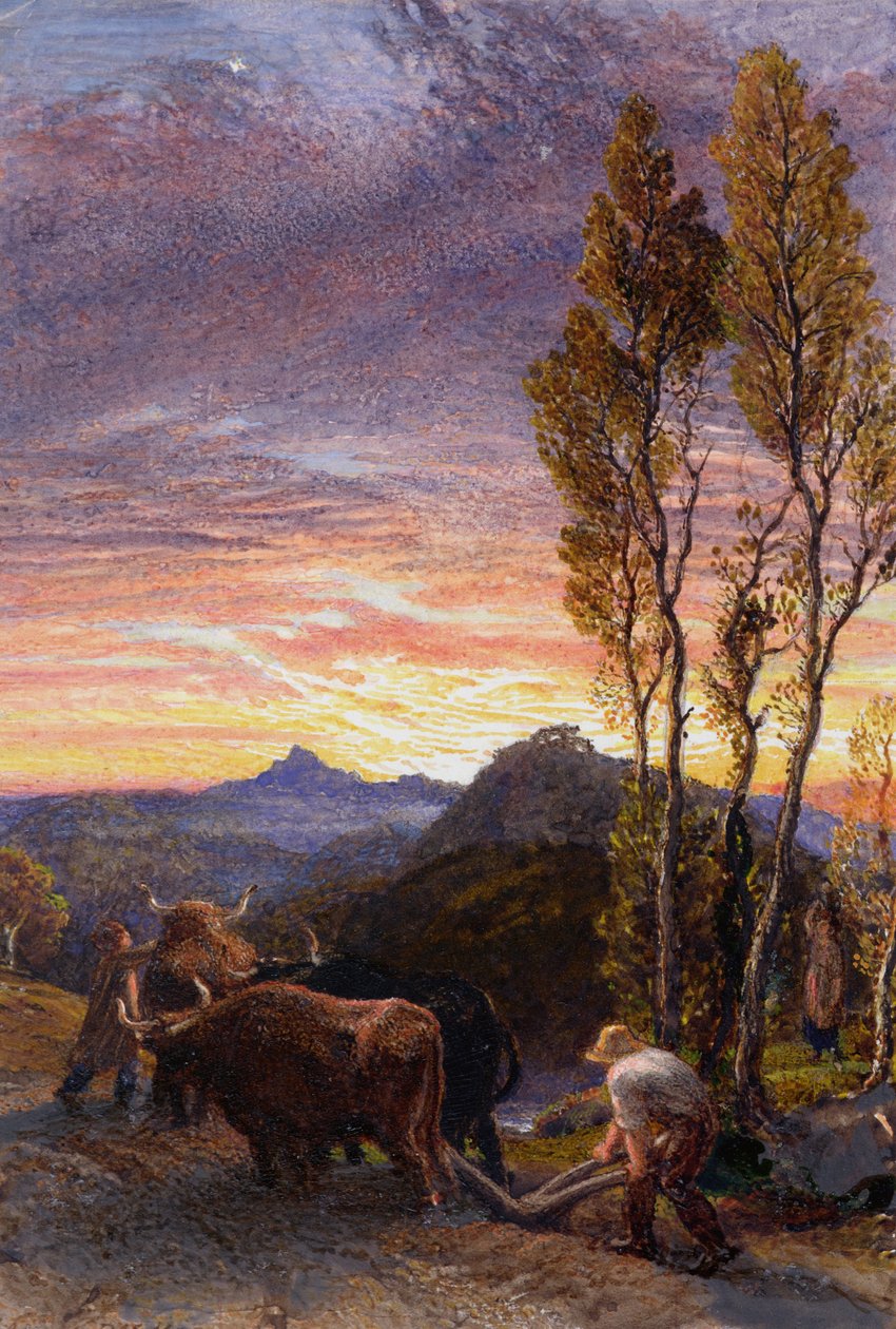 牛在日落时犁 作者 塞缪尔·帕尔默（Samuel Palmer）