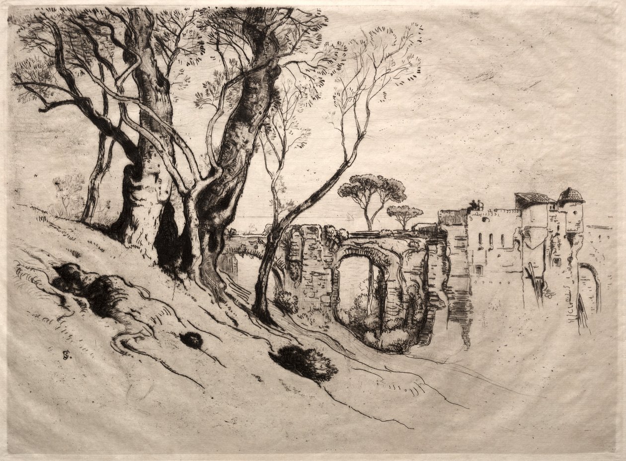 里维埃拉的橄榄树，1884年。 作者 塞缪尔·科尔曼（Samuel Colman）