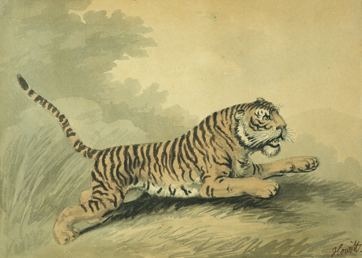 一只母老虎向右跳跃，1807 作者 塞缪尔·豪伊特