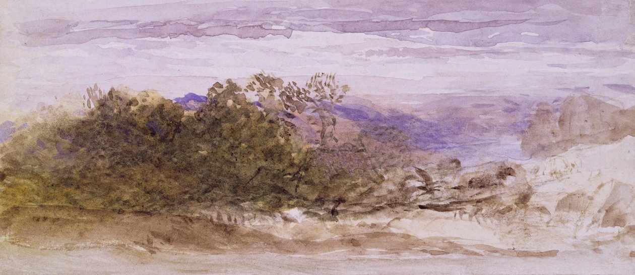 萨里的阿宾格（水彩画 作者 塞缪尔·帕尔默（Samuel Palmer）
