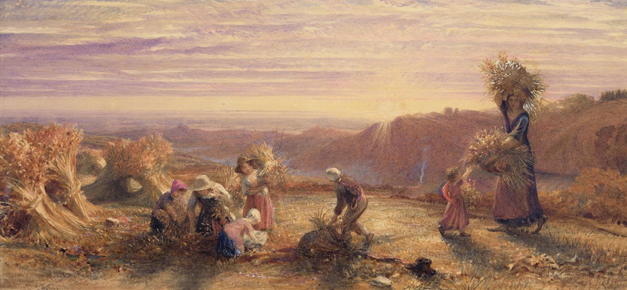 拾穗场上的日落 作者 塞缪尔·帕尔默（Samuel Palmer）