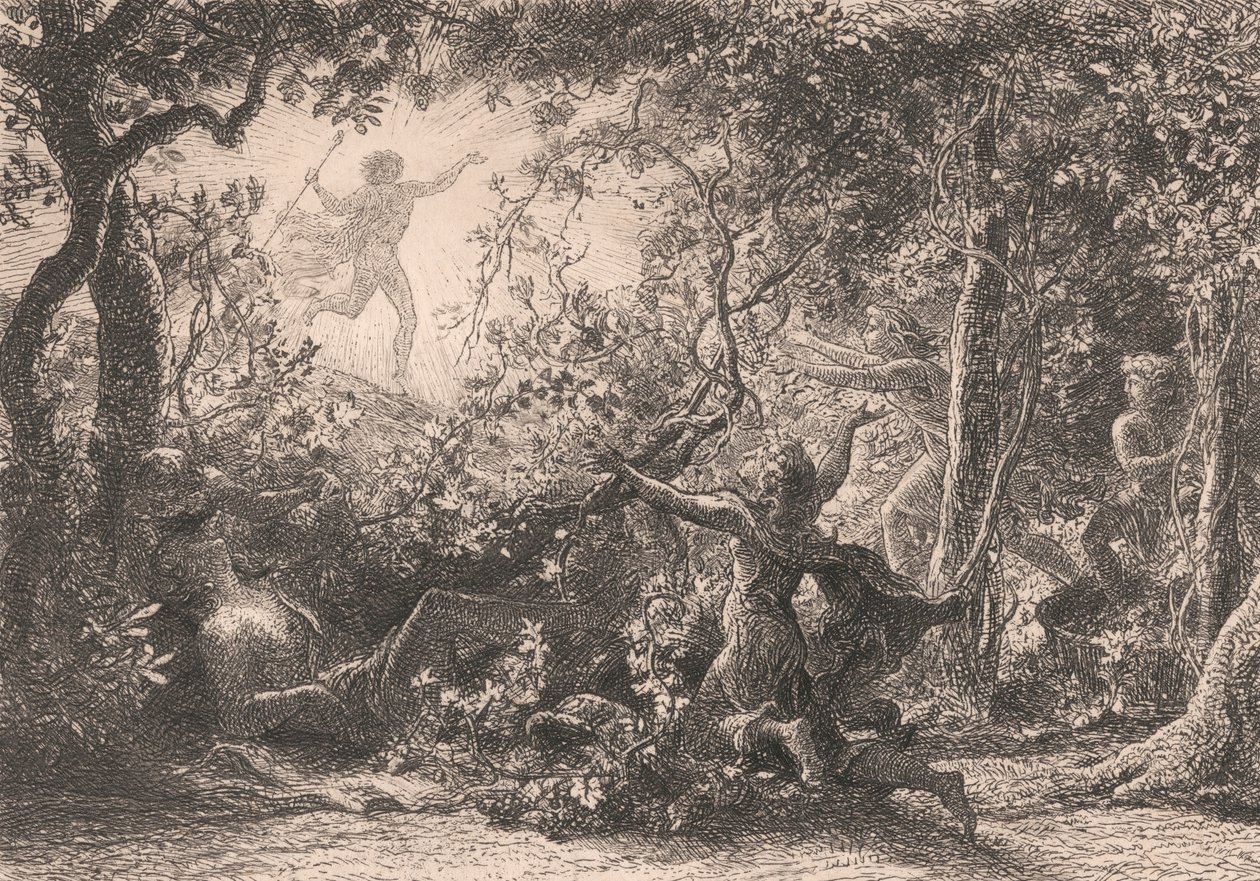 藤蔓 作者 塞缪尔·帕尔默（Samuel Palmer）