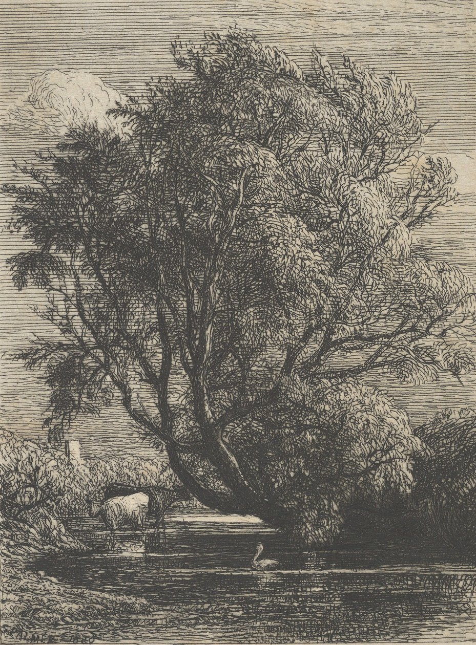 柳树》，1850年。 作者 塞缪尔·帕尔默（Samuel Palmer）