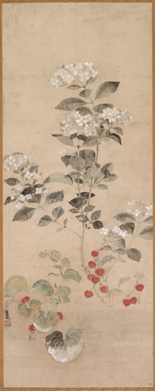 夏花 作者 塞缪尔·普鲁特