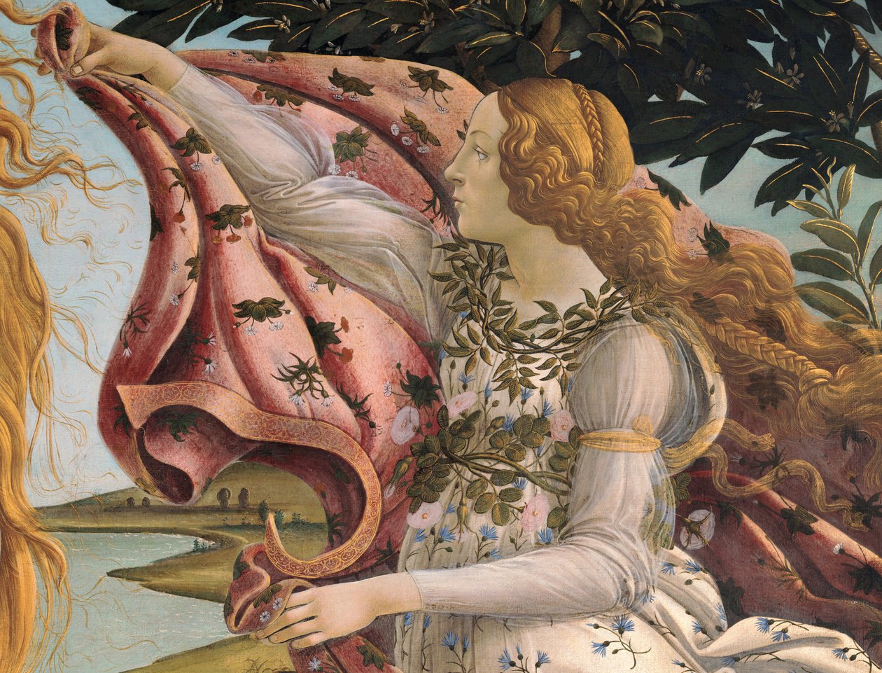 金星的诞生 作者 桑德罗·波提切利（Sandro Botticelli）
