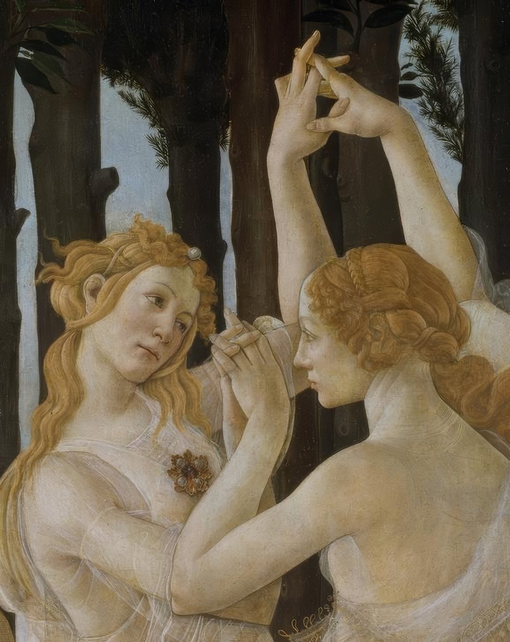 春天 作者 桑德罗·波提切利（Sandro Botticelli）