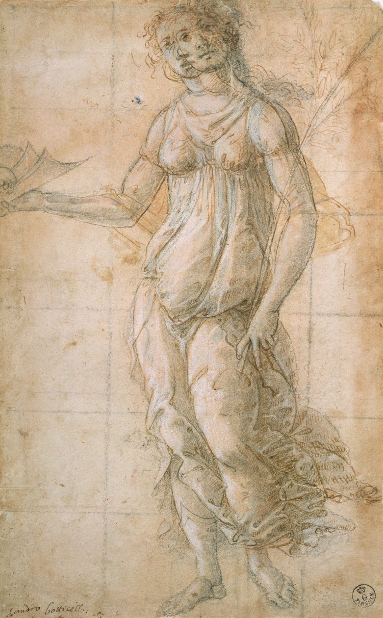 雅典娜的研究（绘图） 作者 桑德罗·波提切利（Sandro Botticelli）