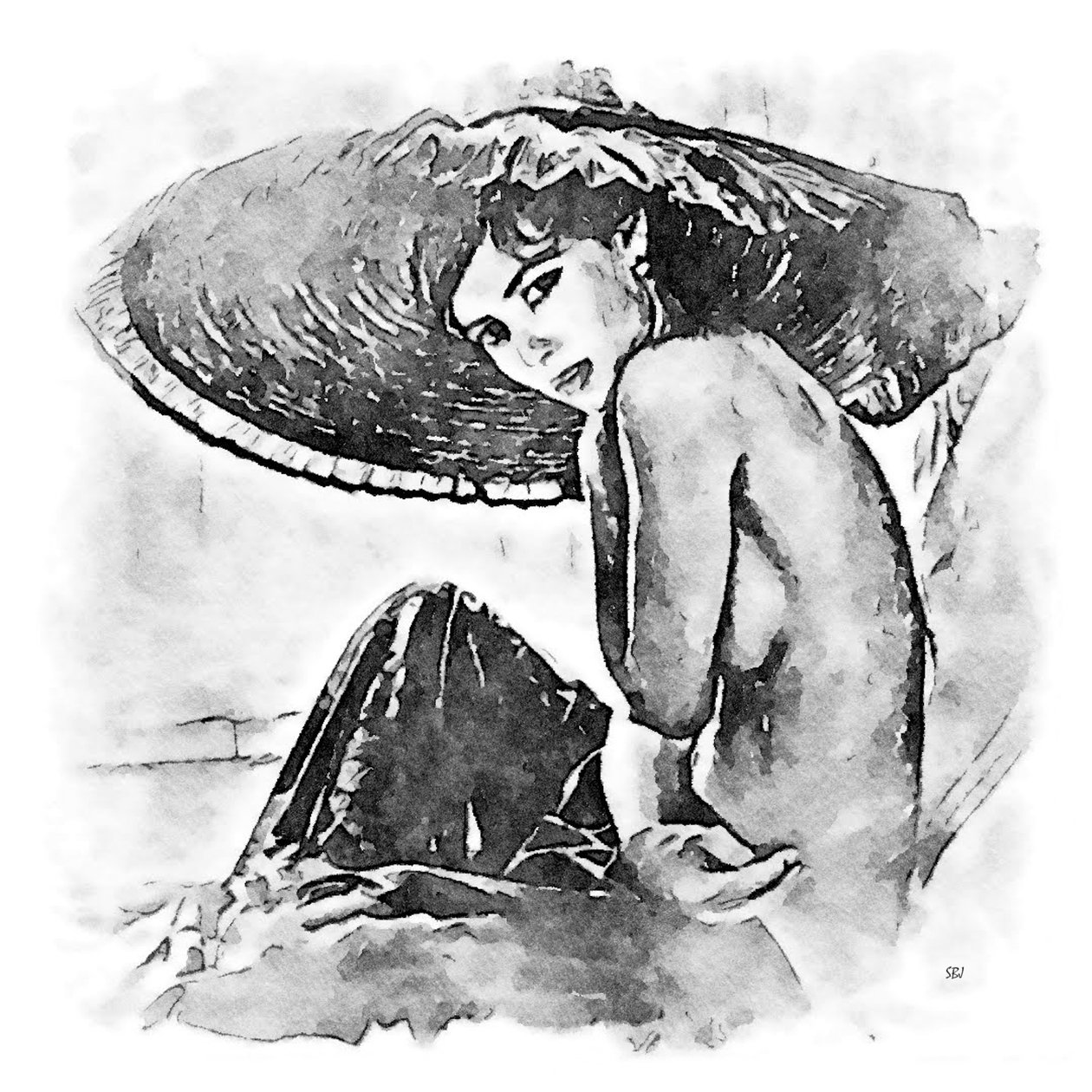 一顶大帽子的女人 作者 萨斯基亚