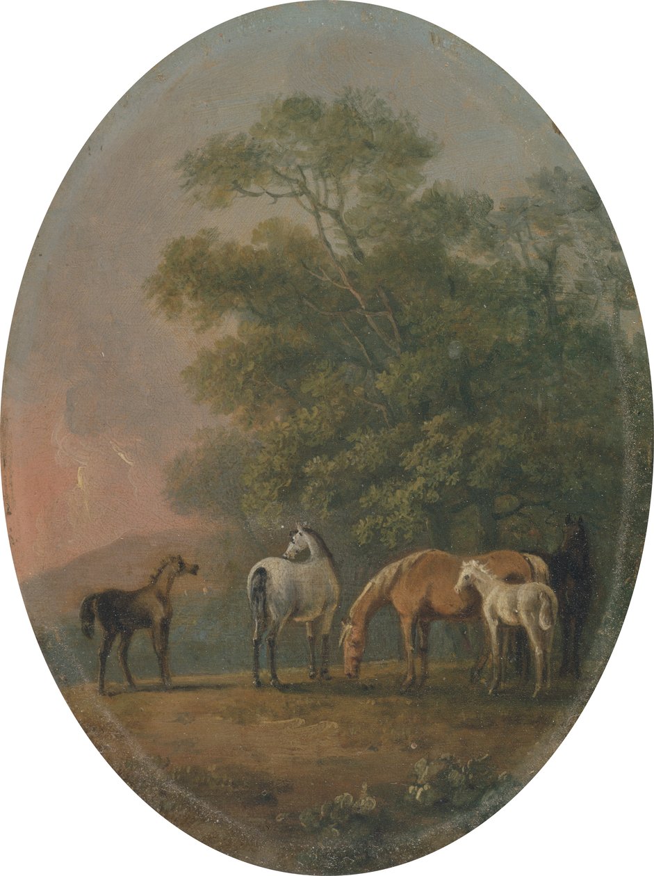 Mares and Foals，c.1770-80（金属油） 作者 索里·吉尔平（Sawrey Gilpin）