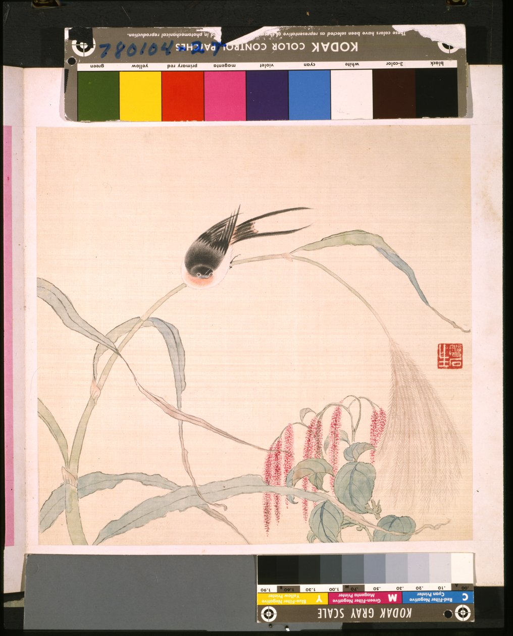 花鸟相册 作者 学校中文
