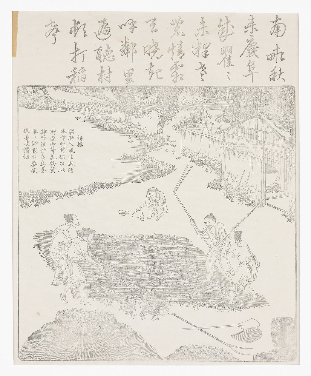 炒米饭 作者 学校中文