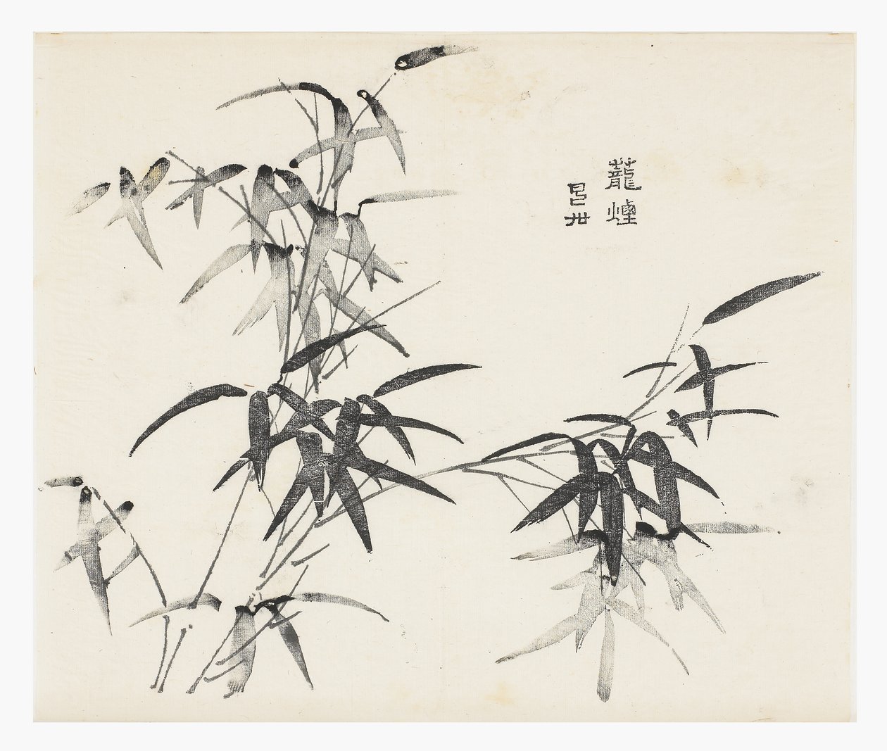 十竹系列 作者 学校中文
