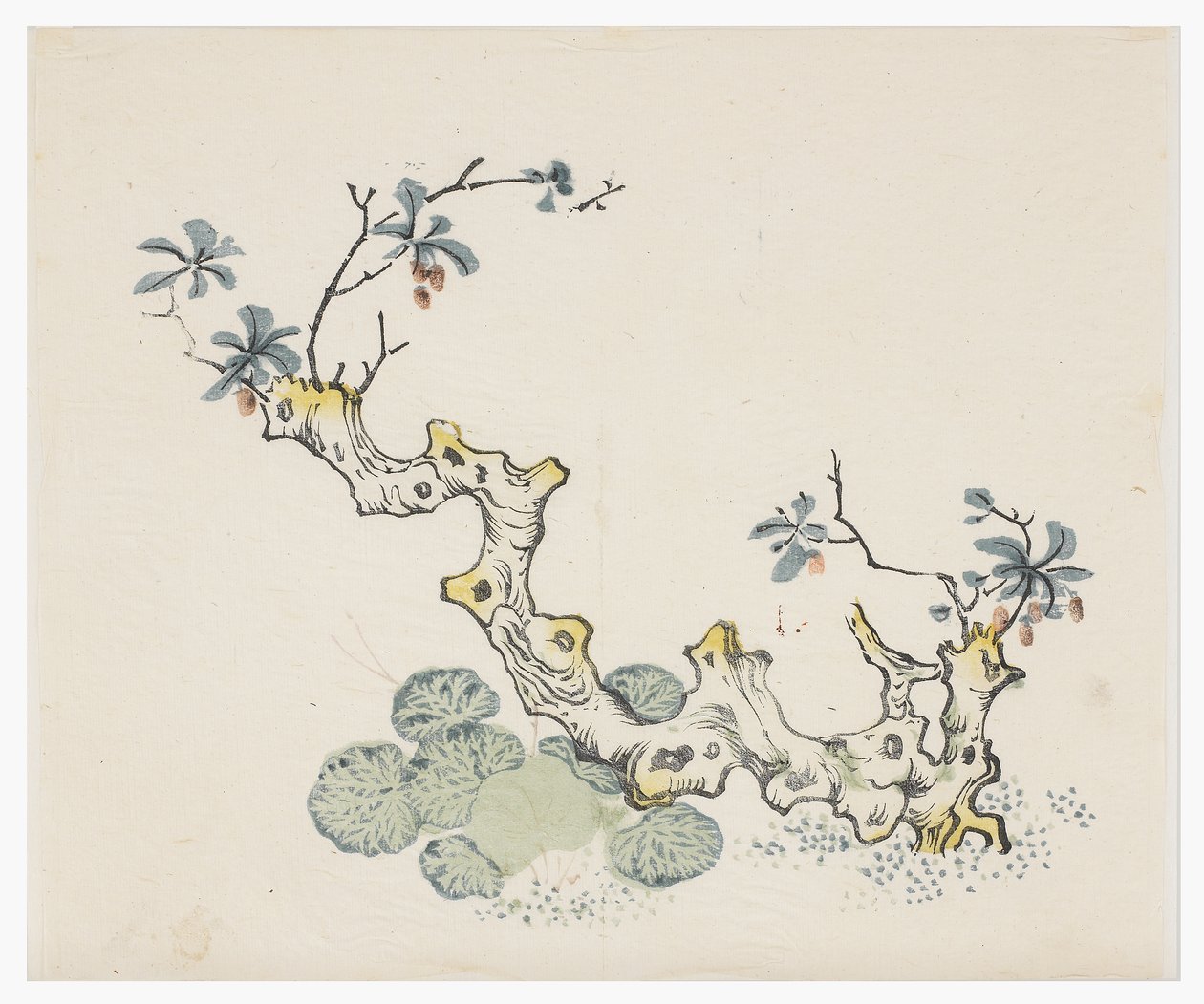 十竹系列 作者 学校中文