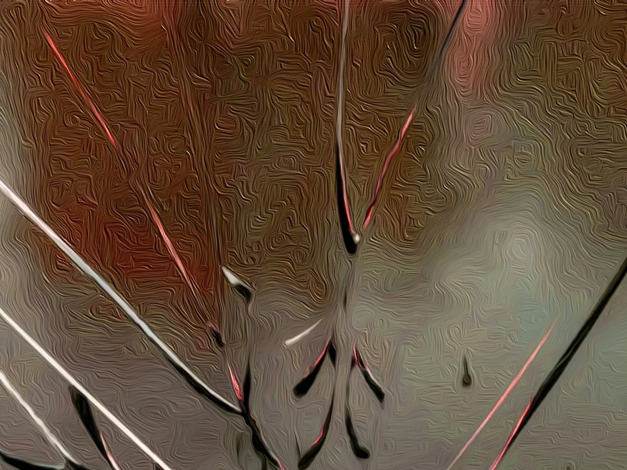 Glass 作者 斯科特·戴维斯（Scott J.Davis）