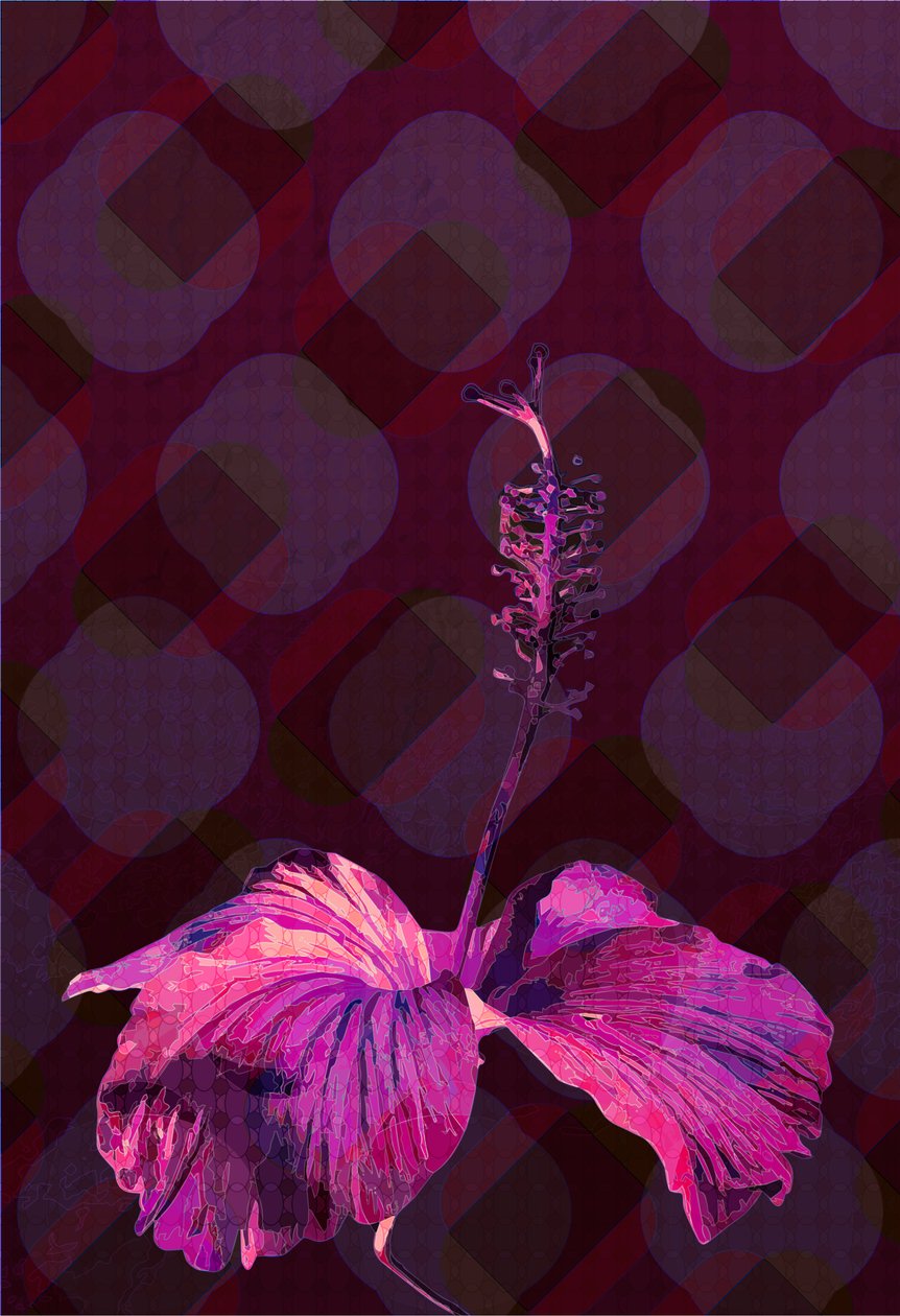 芙蓉3, 2019 作者 斯科特·戴维斯（Scott J.Davis）